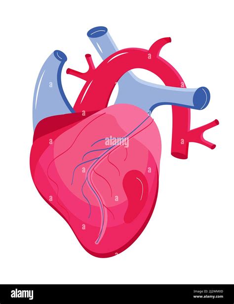 Heart Icon Vector Myocardial Infarction For Medical Website Header