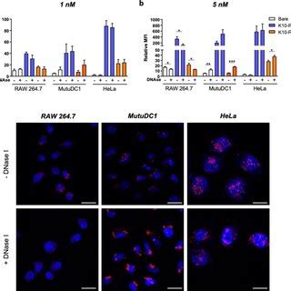 Quantitative Analysis Of Cellular Uptake Of Type A I Cy5 B