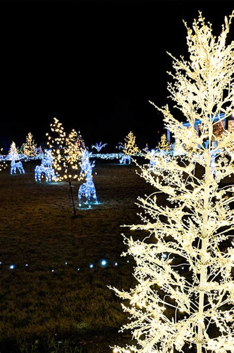 Botanical Gardens Christmas Lights Display - Sincerely Cait