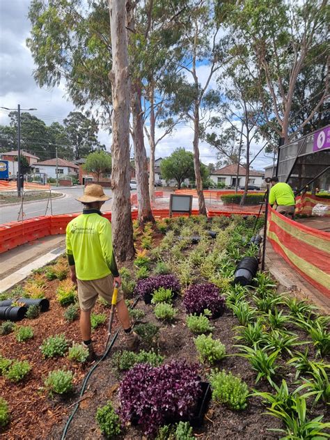 Creating Stunning Landscapes With Permaplants Expert Planting And