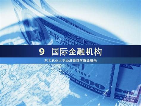 国际金融学——第九章：国际金融机构pptword文档在线阅读与下载无忧文档