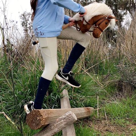 Another Jumping Shot Of The Chestnut Hobby Horse Hobby Horse