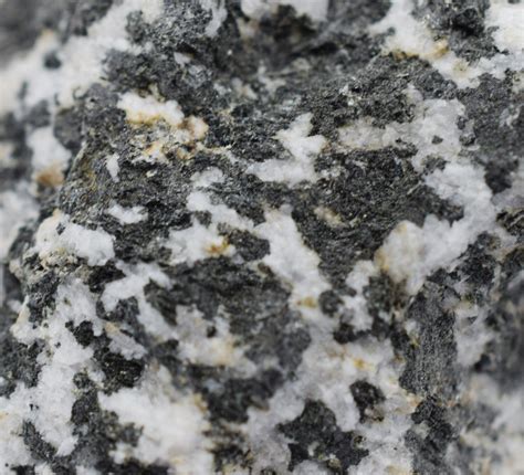 Pk Raw Diorite Igneous Rock Specimens Each Igneous Rock