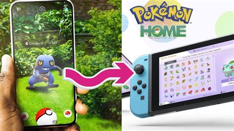 How To Connect Pokemon Go To Pokemon Home Charlie Intel