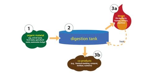 Anaerobic Digestion Diagram