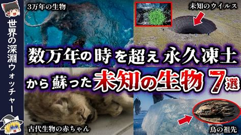 【ゆっくり解説】古代を紐解くヒント！永久凍土から発見された謎の古代生物7選 Youtube