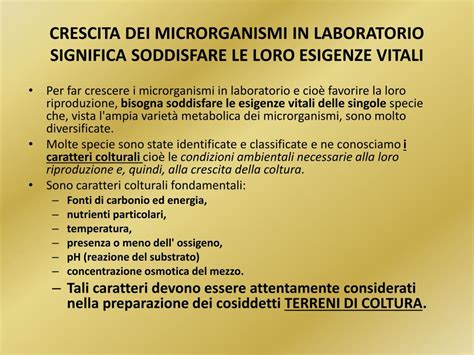 PPT COLTIVAZIONE DEI MICRORGANISMI PowerPoint Presentation Free