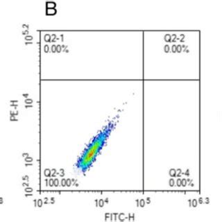 Flow Cytology Images Of Apoptosis In Different Group Cells After