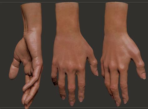 Female Hand 3d Model Cgtrader