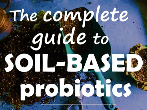 The Complete Guide To Soil Based Probiotics Lucy Mailing PhD