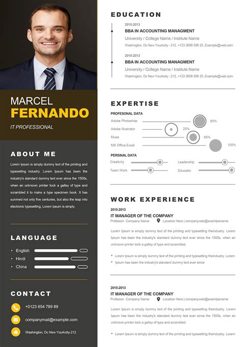 Professional Web Developer Resume Resume Example For Word