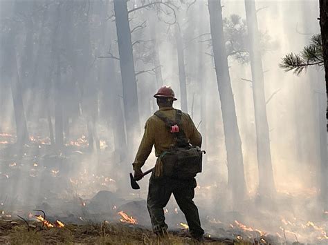 Ignitions Complete On Mccrystal Rock Prescribed Fire The Chronicle News