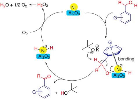 Plausible Mechanism For The Nialumina Catalyzed Oxidation Of Alcohols