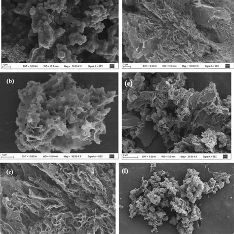 A Fe Sem Images Ppy B Fe Sem Images Of The N Cns C D Tem Images Of