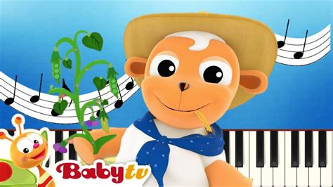 Oats & Peas - BabyTV: Song Lyrics, Music Videos & Concerts