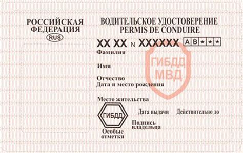 Шаблон детское водительское удостоверение (50 фото)