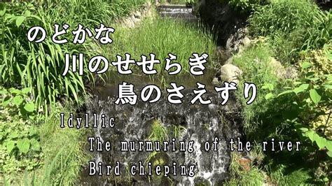 【自然音】no17 のどかな川のせせらぎ 鳥のさえずり 癒し リラックス The Murmur Of The River And Birds