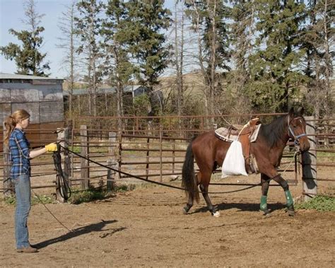 Thunder Spirit Ranch - Training Apprenticeships