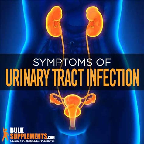 How Do You Get E Coli In A Urinary Tract Infection At Jennifer Godwin Blog