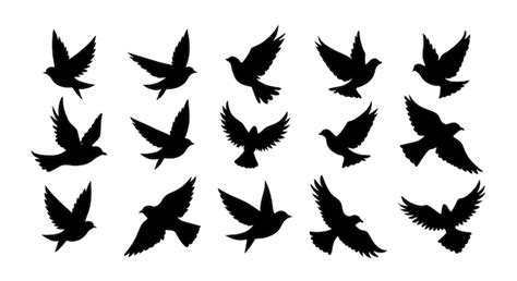 Premium Vector A Set Of Flying Birds Silhouettes