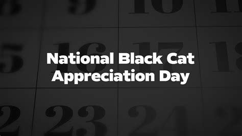 National Black Cat Appreciation Day List Of National Days