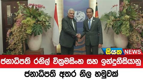 ජනාධිපති රනිල් වික්‍රමසිංහ සහ ඉන්දුනීසියානු ජනාධිපති අතර නිල හමුවක්