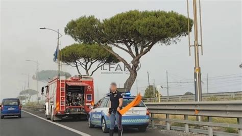 Roma Fiumicino Incendio Di Sterpaglie Fumo Nella Carreggiata