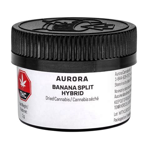 Aurora Drift Banana Split Leafly