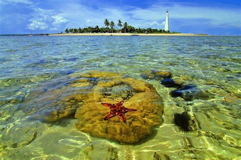 Tempat Wisata Alam Di Kalimantan