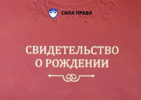Как ребенок может получить Гражданство РФ, если родители не Граждане РФ ...