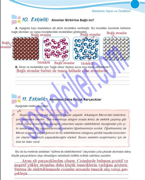 7 Sinif Fen ve Teknolojiİ Calisma Kitabi Sayfa 83ün Cevaplari Meb