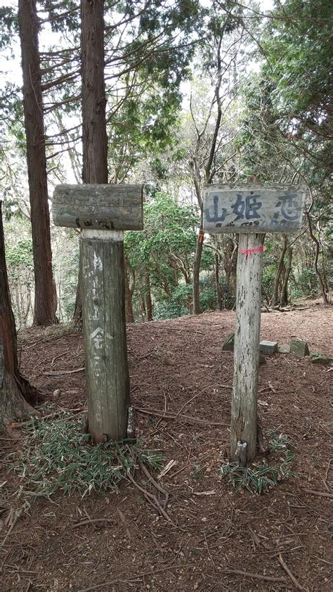 多度山脈北部を時計周りで周回 羽沢→鎌知土→恋姫山→石津山→桜番所 飯盛 →草履屋 ちゃいかさんの多度山・美濃松山・石津御嶽の活動データ