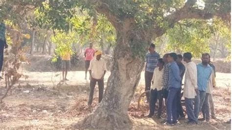 Balaghat News पेड़ पर फांसी के फंदे में झूला किसान Farmer Swings In The Trap Of Hanging On