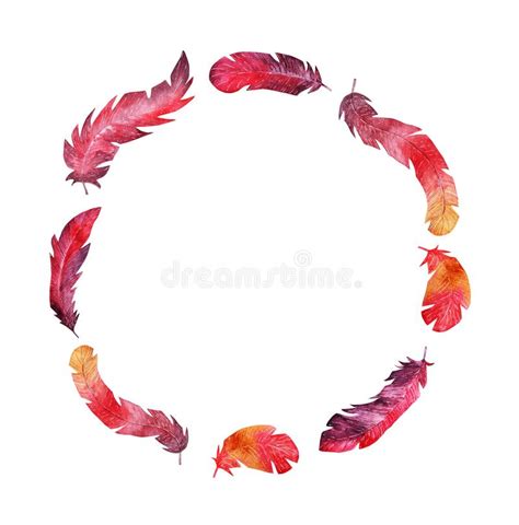 Watercolor Feather Wreath Stock Illustration Illustration Of Feather