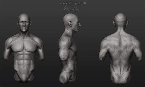 Male Torso Head Feedback Needed Polycount