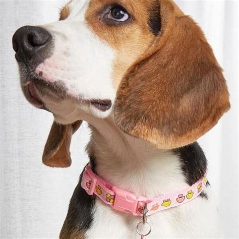 Orcajump S Xl New Sexy Patent Leather Three Point Erotic Lingerie Sexy Pu Hollow Erotic Suit