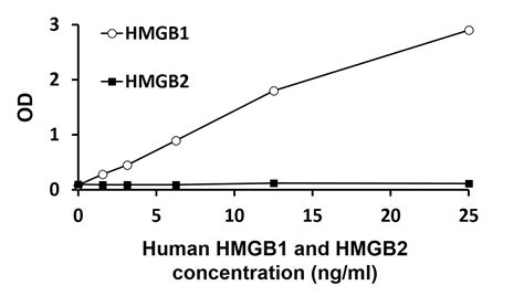 Hmgb1 Elisa Kit For Your Research News Company Arigobio 中国