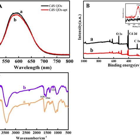 A Fluorescence Spectra Of CdS QDs A And CdS QDs Apt B B XPS