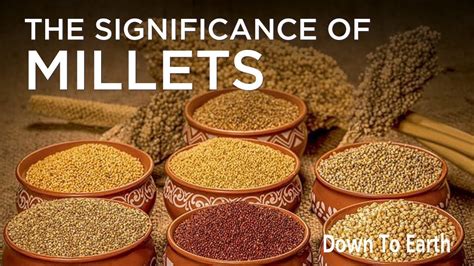 Nutritional Value Of Millets International Year Of Millets Dayeeta