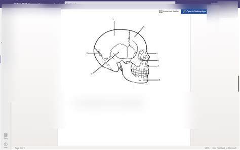 HLTAAP002 Exam 1 Musculoskeletal System Diagram Quizlet