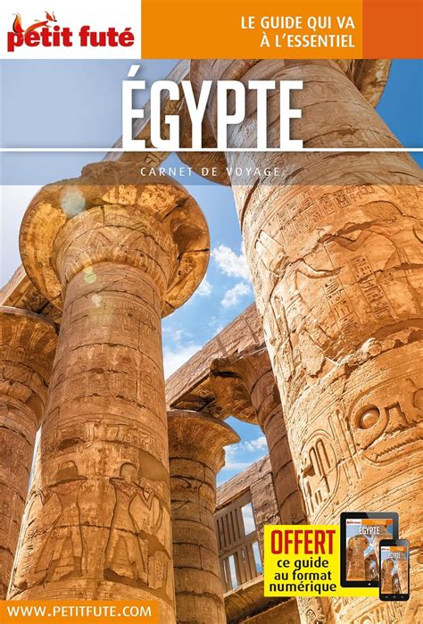 Guide Egypte 2023 Carnet Petit Futé Amazon co uk Auzias d