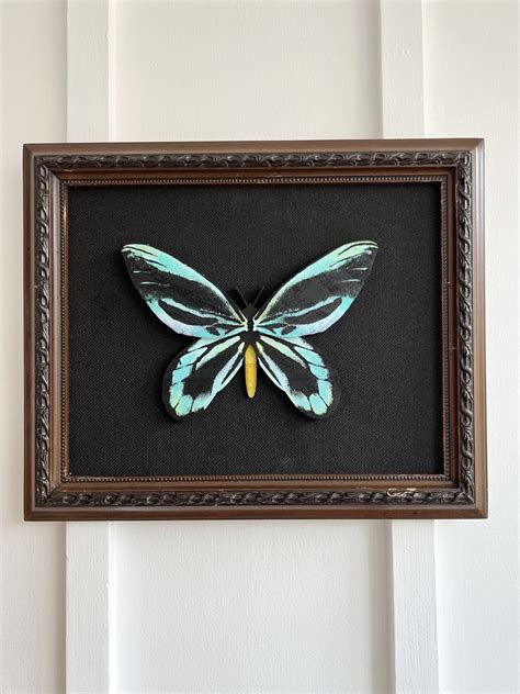 Alexandras Birdwing Large Butterfly - Collectors Series - Studio Dust