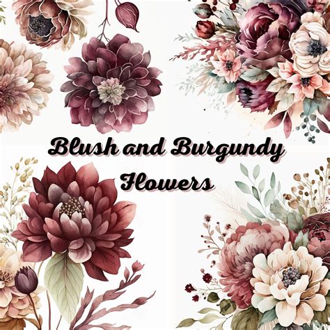 Blush And Burgundy Flowers Watercolor Clipart High Quality Pngs