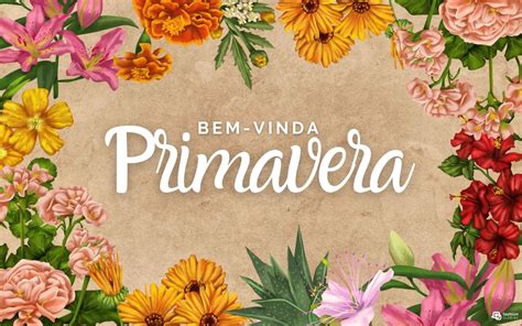 Ideias De Frases Para Inspirar Uma Vida Mais Leve E Colorida