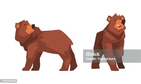 Wild Brown Grizzly Bear As Forest Habitant In Standing Pose Vector Set