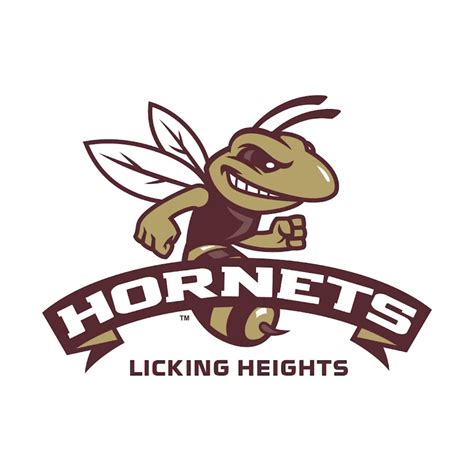 Boundary Options Licking Heights Local School District