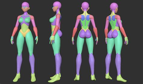 Stylized Female Basemesh Character Modeling Human Base Zbrush Anatomy