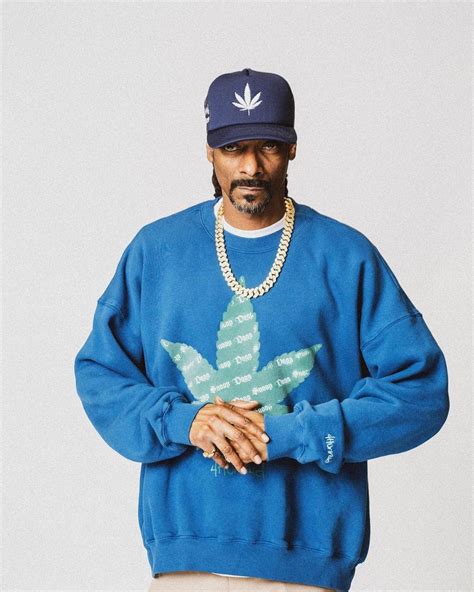 Rap sheet snoop dogg feb1994 118 – Artofit