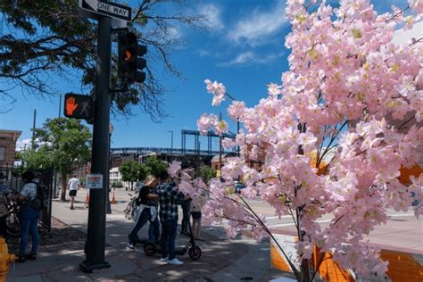 Denver Cherry Blossom Festival Royalty Free Images Stock Photos