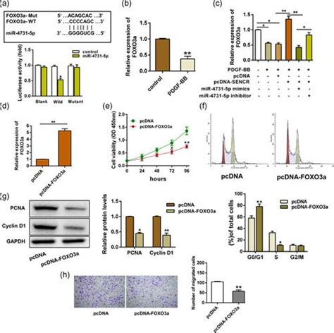 Rna Sencr Journal Of Cellular Physiology X Mol